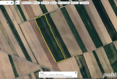 Teren de 4479 mp, în Horodnic - 3