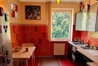 Apartament cu 3 camere decomandat în Sud - 3
