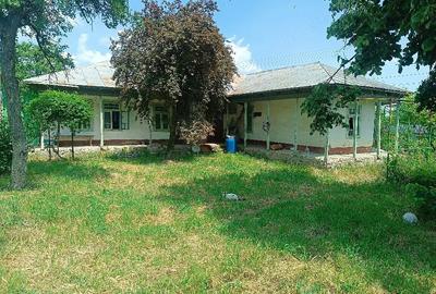 Casă cu 4 camere cu Teren 1490 Mp în Tămăoani - 5