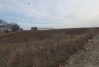 Teren agricol intravilan de 4.5 mp, în Brăilei - 25