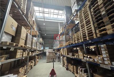 Spațiu comercial, în Mogoșoaia - 5