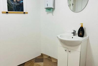 Garsonieră decomandată în Elisabetin