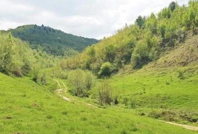Teren de 493 mp, în Central - 1