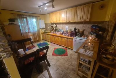 Duplex cu 4 camere cu Canalizare în Brebu - 14