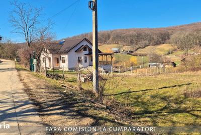 Spațiu comercial, în Căzănești - 3
