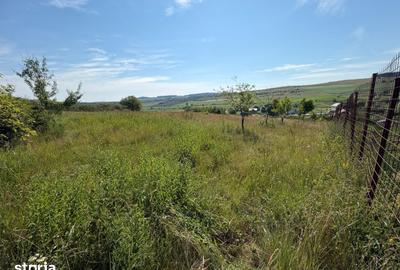 Teren de 3834 mp, în Vultureni - 1
