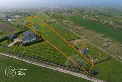 Teren Construcții intravilan de 2600 mp, în Sânpaul - 5