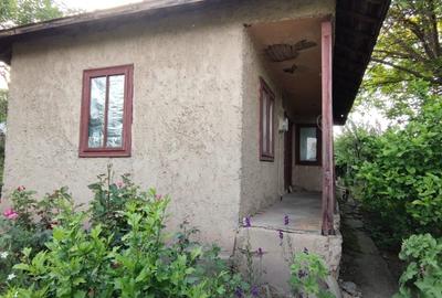 Casă cu 3 camere în Gogoșari
