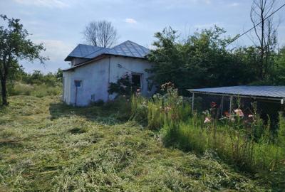 Casă cu 3 camere în Central - 4