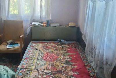 Casă cu Teren 1263 Mp în Vâlcele