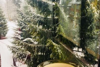 Apartament cu 3 camere decomandat în Predeal - 10