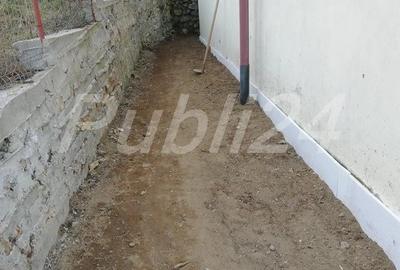 Casă cu 6 camere cu Teren 6000 Mp în Pietreni - 2