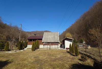 Spațiu comercial, de 400 mp, în Buceș - 14