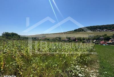 Teren de 1735 mp, în Remetea