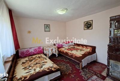 Casă cu 3 camere cu Teren 1667 Mp în Produlești