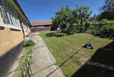 Casă cu 3 camere cu Teren 40000 Mp în Tirimia