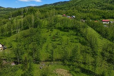 Teren în Central