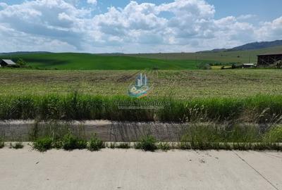 Teren Construcții intravilan de 8500 mp, în Periferie - 1