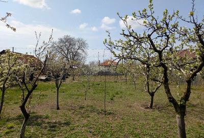Teren de 845 mp, în Oreavul - 3