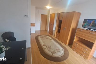 Garsonieră în Valea Borcutului - 4