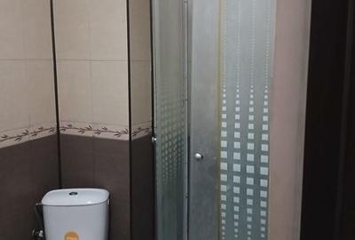 Apartament cu 2 camere decomandat în Brazda lui Novac - 4