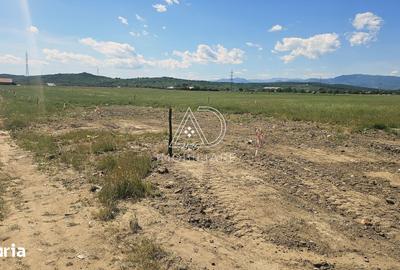 Teren de 300 mp, în Central