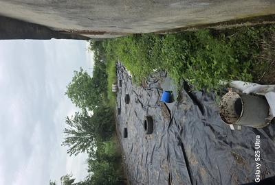 Teren de 3400 mp, în Copăceanca - 5