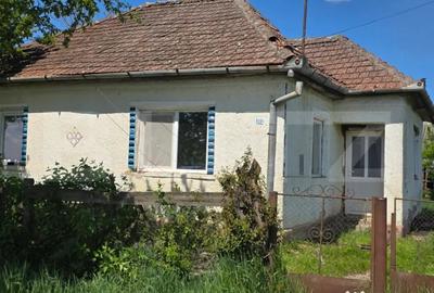 Casă cu 4 camere cu Teren 13000 Mp în Periferie - 3