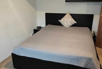 Apartament cu 2 camere semidecomandat, mobilat în Baba Novac - 3