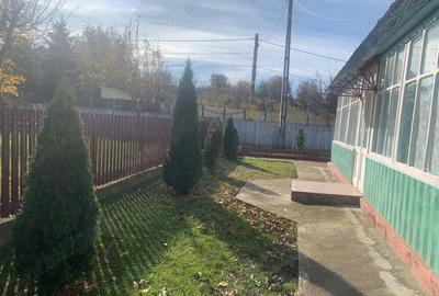 Casă cu 3 camere cu Teren 1000 Mp în Bogdănești - 2