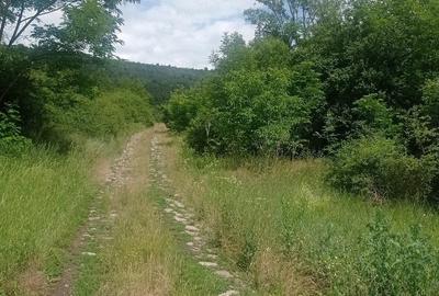 Teren de 5200 mp, în Central - 5