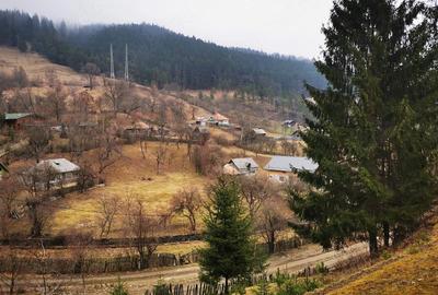 Teren de 2000 mp, în Stejaru (Pângărați) - 2