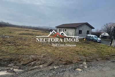Teren de 1000 mp, în Podgoria