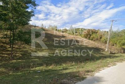 Teren intravilan de 3247 mp, în Nord - 3