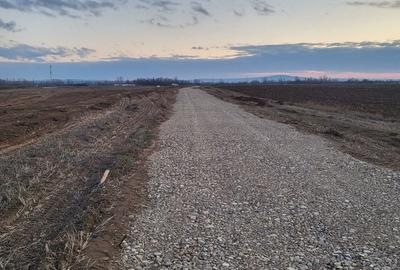 Teren de 500 mp, în Oșorhei - 2