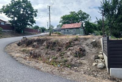 Teren de 2300 mp, în Pătrăuți