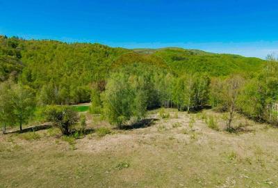 Casă individuală cu 7 camere cu Teren 30200 Mp în Prelucele - 31