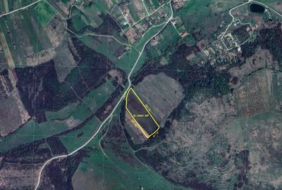 Teren de 24421 mp, în Paleu