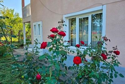 Casă individuală cu 4 camere cu Teren 13000 Mp în Exterior Nord - 3