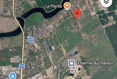 Teren de 600 mp, în Balotești