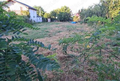 Teren de 752 mp, în Copăceni - 3