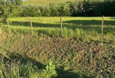 Teren de 3000 mp, în Stejeriș - 2