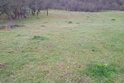 Teren în Valea - 2
