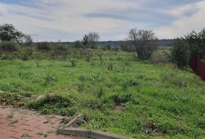 Teren Construcții intravilan de 1140 mp, în Satu Nou (Panciu) - 2