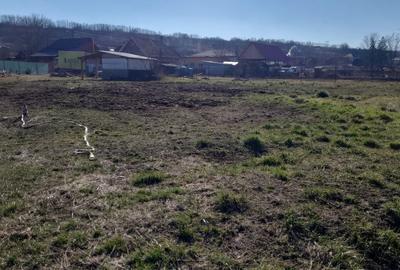 Teren de 1700 mp, în Luna - 5