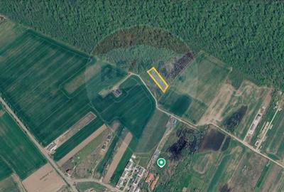 Teren Construcții intravilan de 1597 mp, în Izvorani - 3