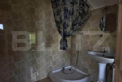 Casă cu 7 camere cu Teren 1535 Mp în Vetiș - 9