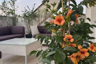 Apartament cu 3 camere, mobilat în Timpuri Noi - 2