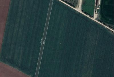 Teren agricol intravilan de 10000 mp, în Tâncăbești - 1