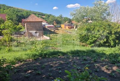 Casă individuală cu 2 camere cu Teren 957 Mp în Cara - 9